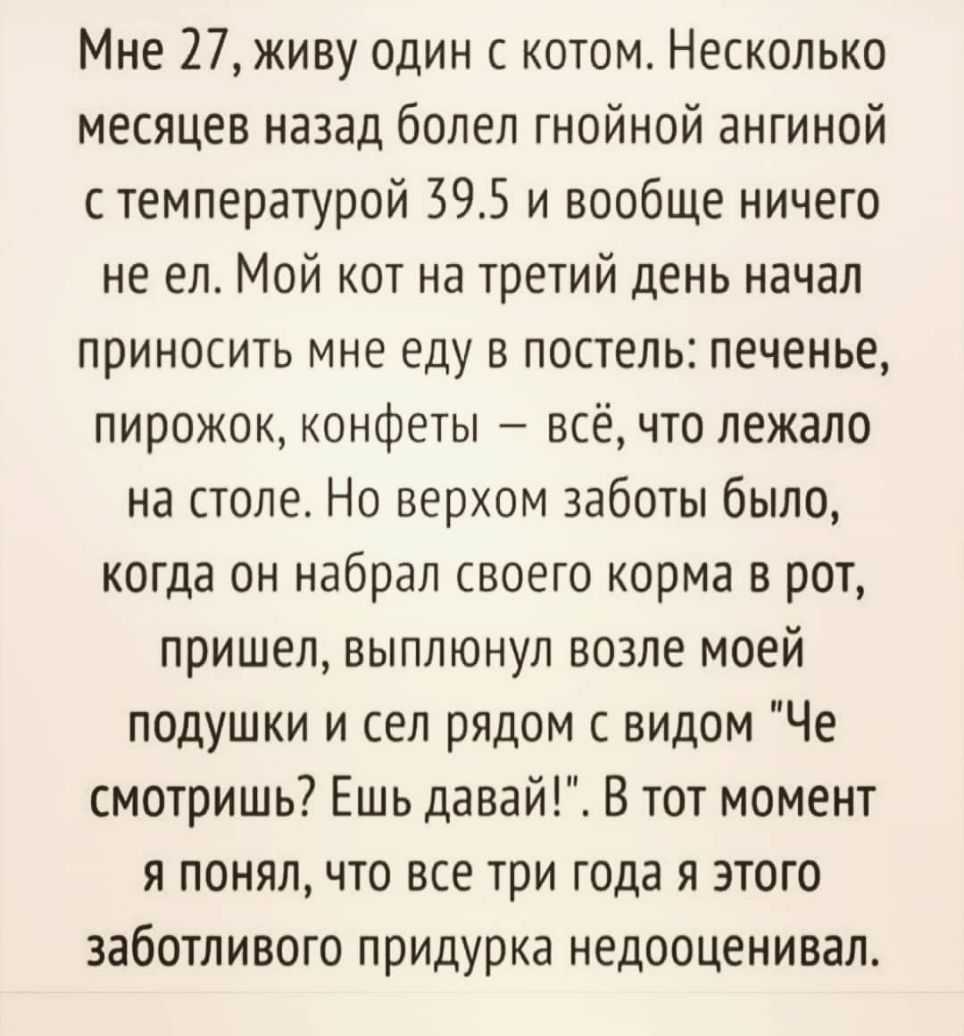 Мне 27 живу один с котом Несколько месяцев назад болел гнойной ангиной с температурой 395 и вообще ничего не ел Мой кот на третий день начал приносить мне еду в постель печенье пирожок конфеты всё что лежало на столе Но верхом заботы было когда он набрал своего корма в рот пришел выплюнул возле моей подушки и сел рядом с видом Че смотришь Ешь давай В тот момент я понял что все три года я этого заб