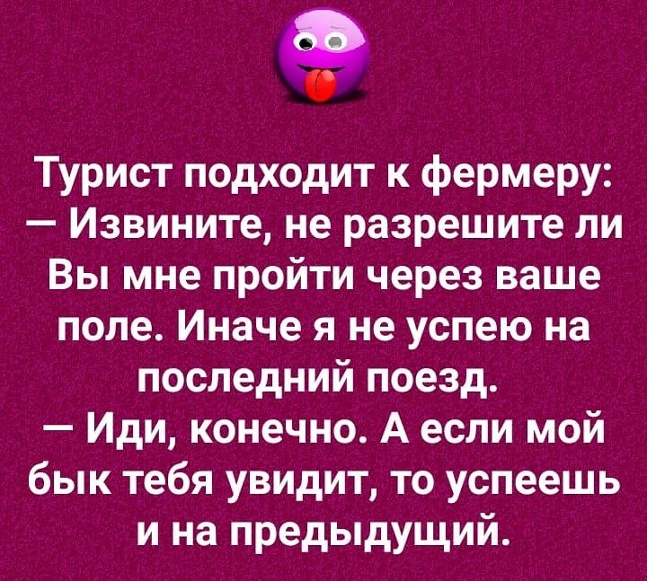 Турист подходит к фермеру Извините не разрешите ли Вы мне пройти через ваше поле Иначе я не успею на последний поезд Иди конечно А если мой бык тебя увидит то успеешь и на предыдущий