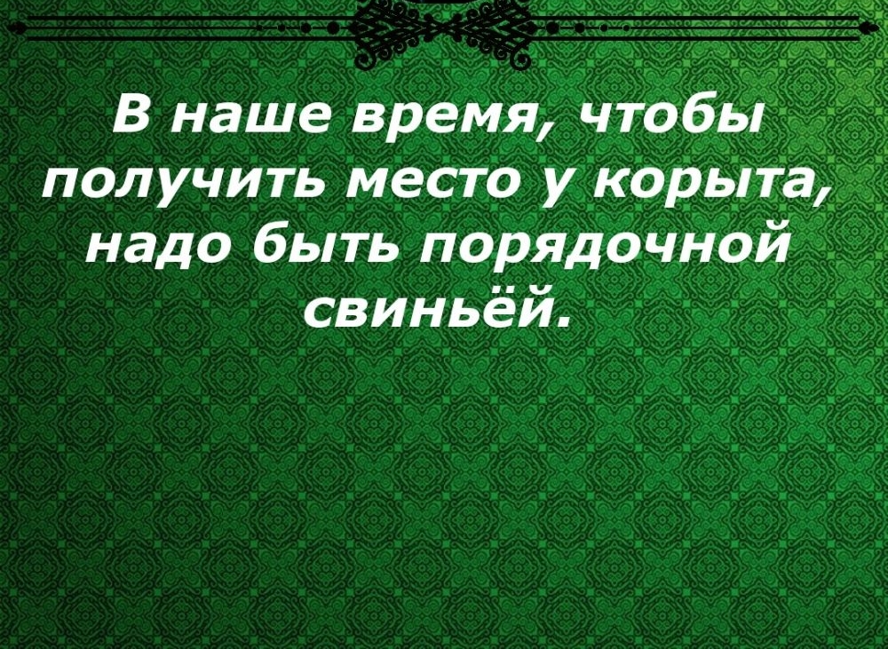 В наше время чтобы дд получить место укорьпэ надо быть порядочной свиньёй