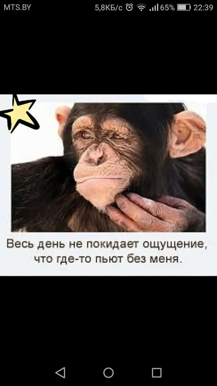 мтзву 58КБс 65 2239 Весь день не покидает ощущение что где то пьют без меня