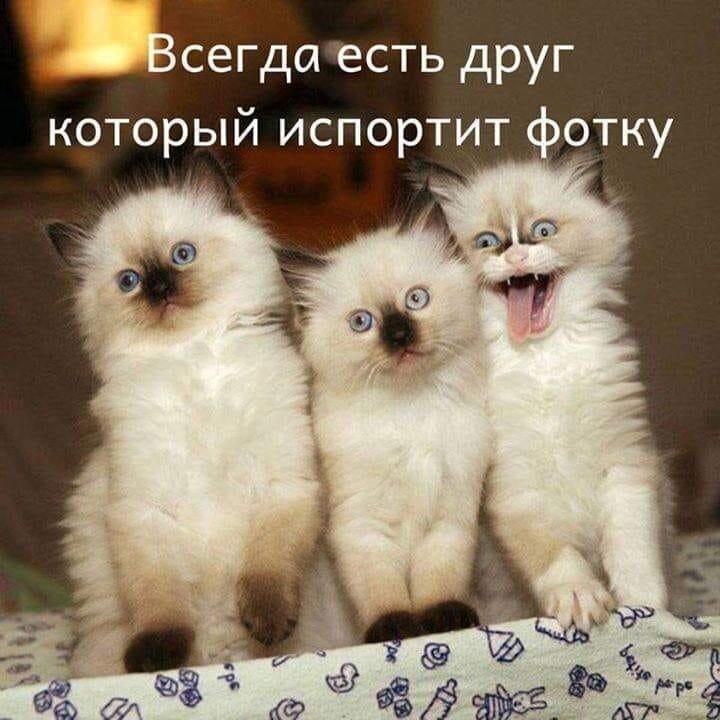 сегда есть друг который испортит фотку