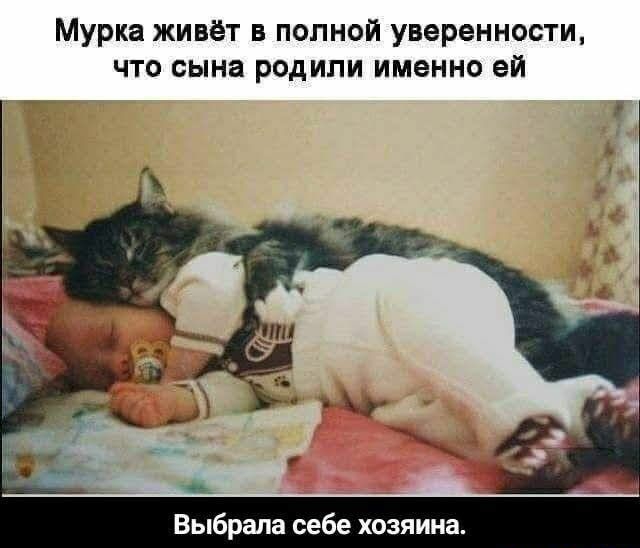 Мурка живёт в полной уверенности что сына родили именно ей Выбрала себе хозяина