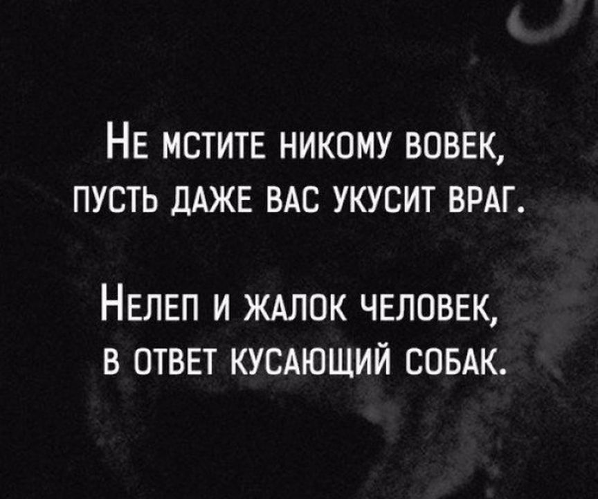 НЕ МСТИТЕ никому вовек пусть ДАЖЕ ВАС укусит врдг НЕЛЕП И ЖАЛОК ЧЕЛОВЕК В ОТВЕТ КУСАЮЩИЙ СОБАК