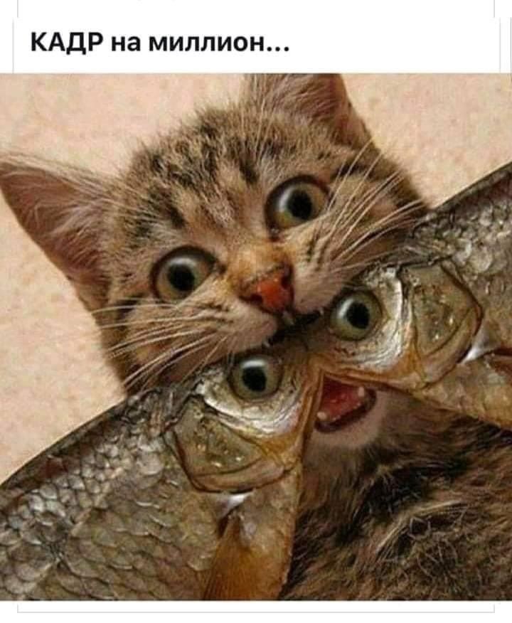 КАдР на миллион
