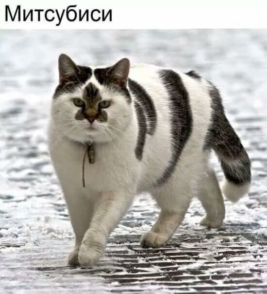 Митсубиси