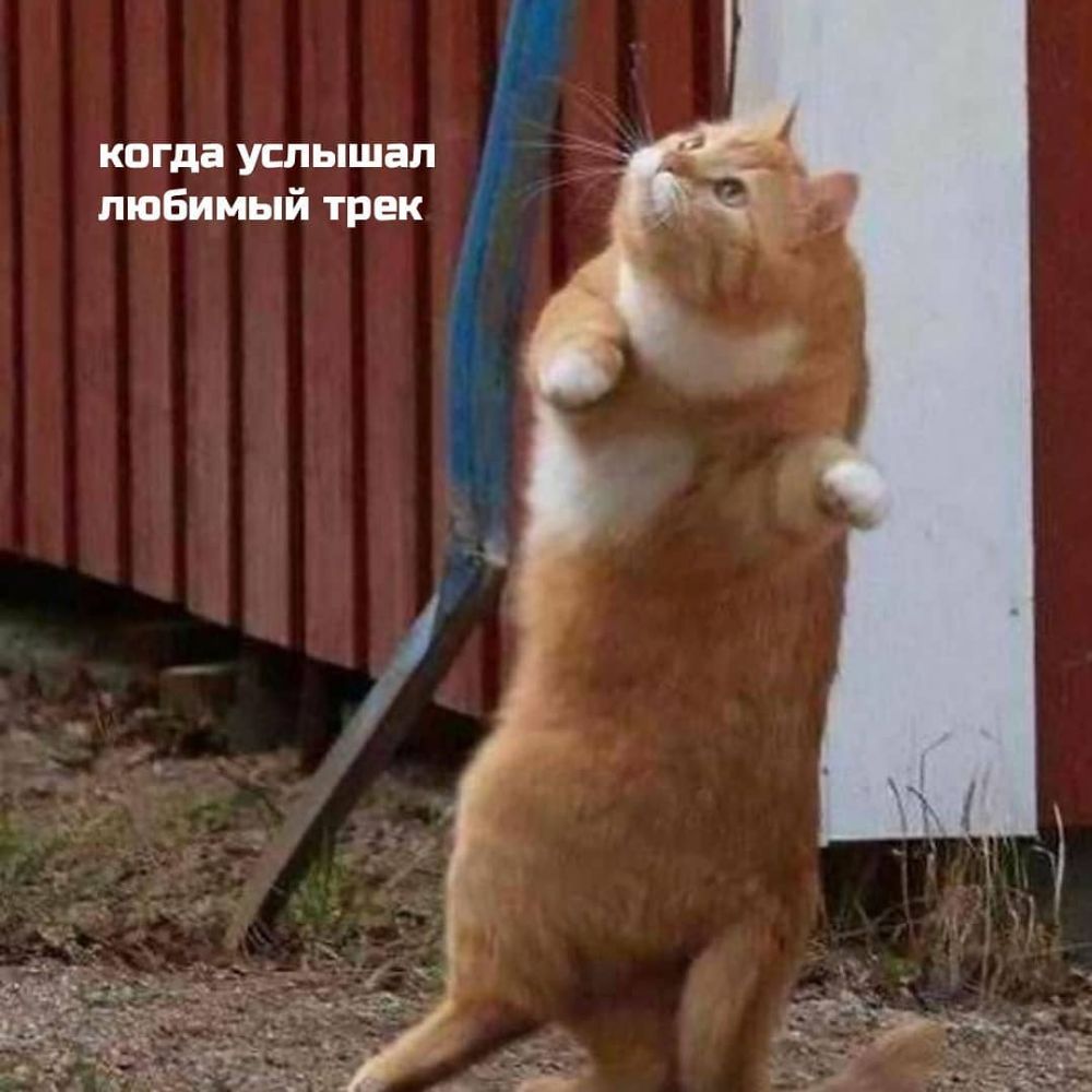когда услышал любимый трек