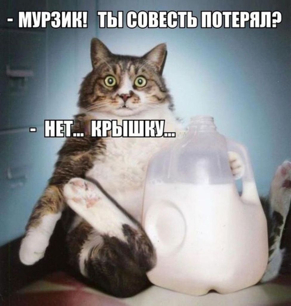 мигзин ты еовютьпошппр
