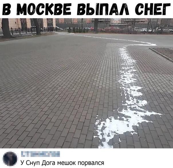 _в_жосквввыпм снег за _ У Снуп Догг мешок порвался