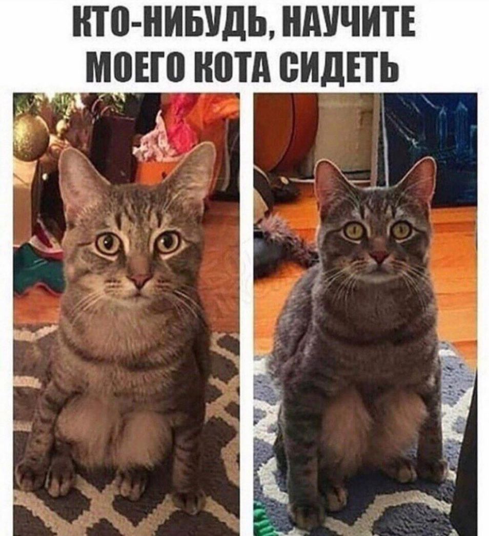 П0 НИБУДЬ ШШЧИТЕ МПЕШ ШПД ВИДЕТЬ
