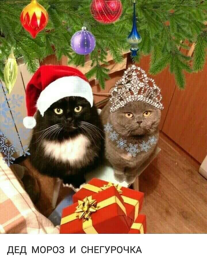 А К Ч 0 Р У Е Н С И З 0 Р О М д Е д