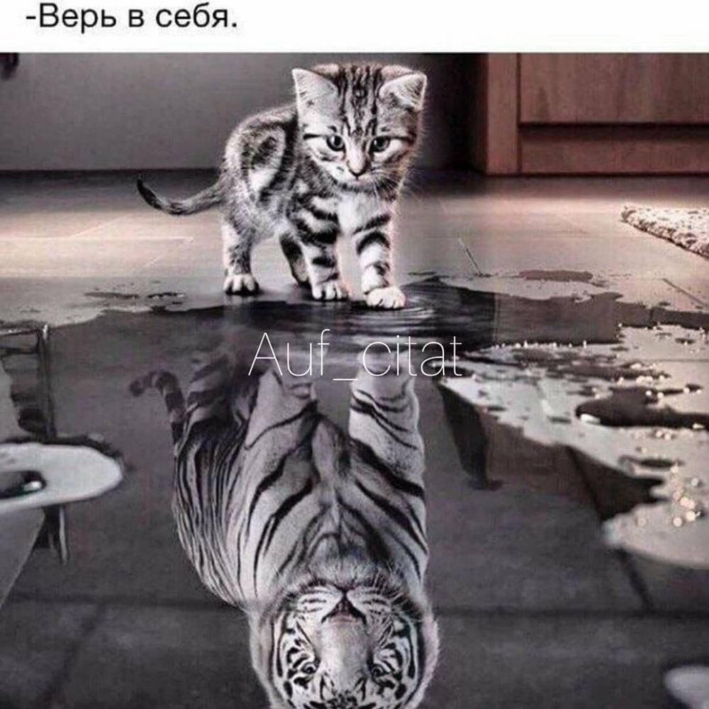 я б е с В ь о е ц
