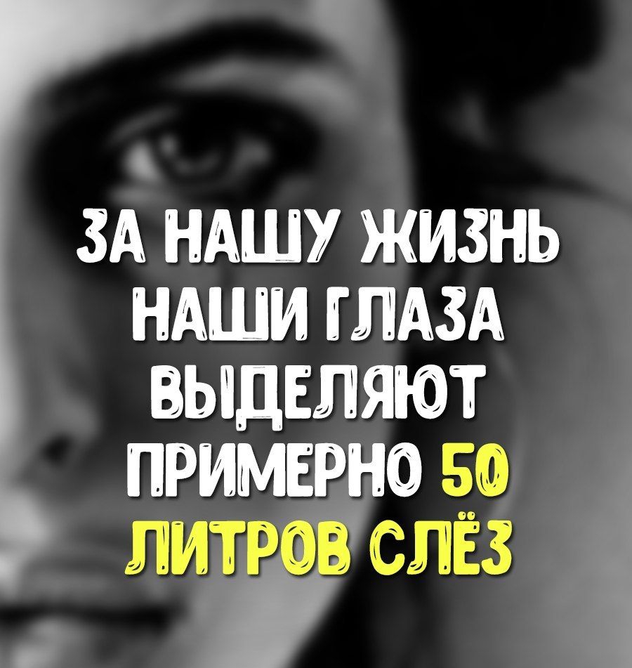 Г зд ндшу жизнь ндши глдзд выдвляют примнрно во слёз