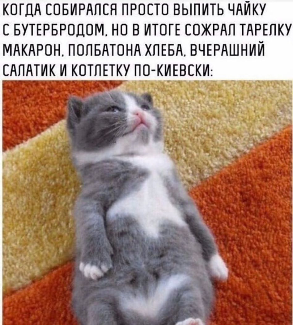 КОГДА ЕОБИРАПСН ПРОСТО ВЫПИТЬ ЧАЙКУ С БУТЕРБРОДОМ НЕ В ИТОГЕ ЕОЖРАП ТАРЕПКУ МАКАРОН ПОПБАТОНА ХПЕБА ВЧЕРАШНИЙ САПАТИК И КПТПЕТКУ ПО КИЕВЕКИ к 1
