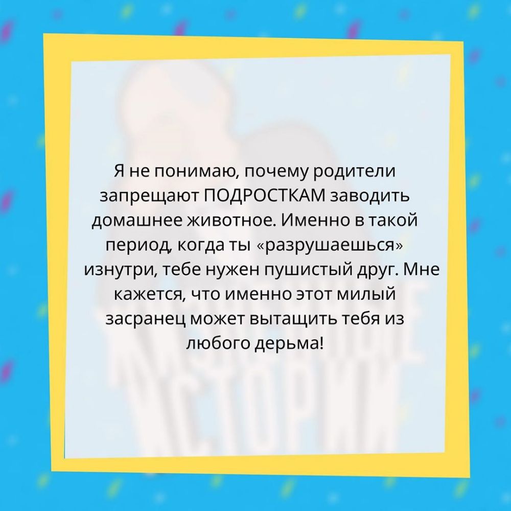 Я не понимаю почему родители запрещают ПОДРОСТКАМ заводить домашнее животное Именно в такой период когда ты разрушаешься изнутри тебе нужен пушистый друг Мне кажется что именно этот милый засранец может вытащить тебя из любого дерьма