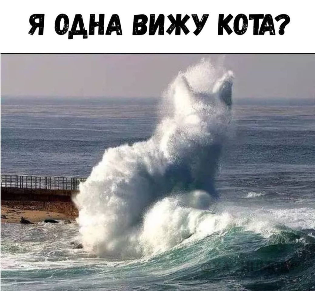 Я ОДНА ВИЖУ КОИ