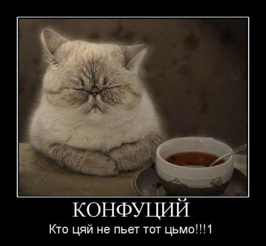 Кто цяй не пьет тот цьмо1