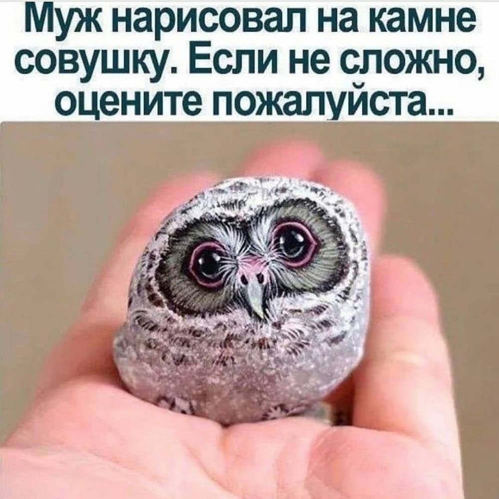 Муж нарисовал на камне совушку Если не с_ложно оцените пожалуиста