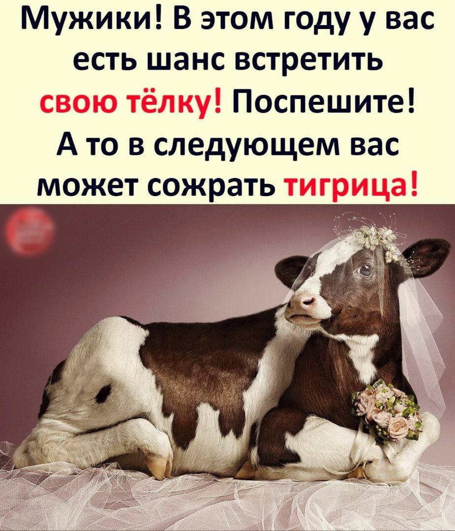 Мужики В этом году у вас есть шанс встретить Поспешите А то в следующем вас может сожрать
