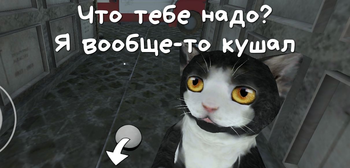 ЧЁОЁЁБе надо Я вообщето кушаю _