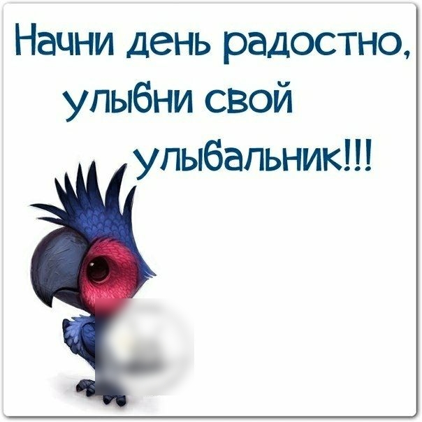Начни день радостно упыбни свой упыбапьник