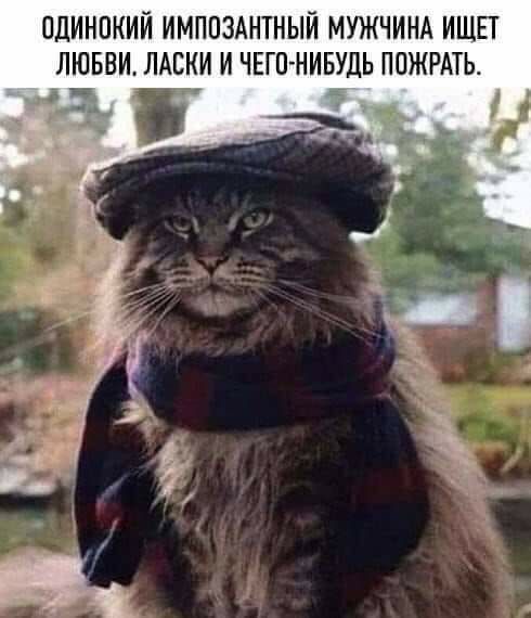 ОДИНОКИЙ ИМППЗАНТНЫИ МУЖЧИНА ИЩЕТ ЛЮБВИ ЛАЕИИ И ЧЕГП НИБУДЬ ППЖРАТЬ