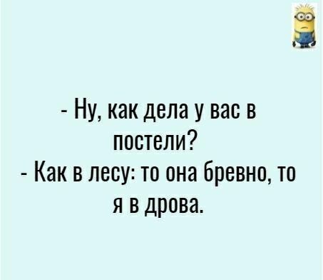 Ну как дела у вас в постели Как в лесу то она Бревно то я в дрова
