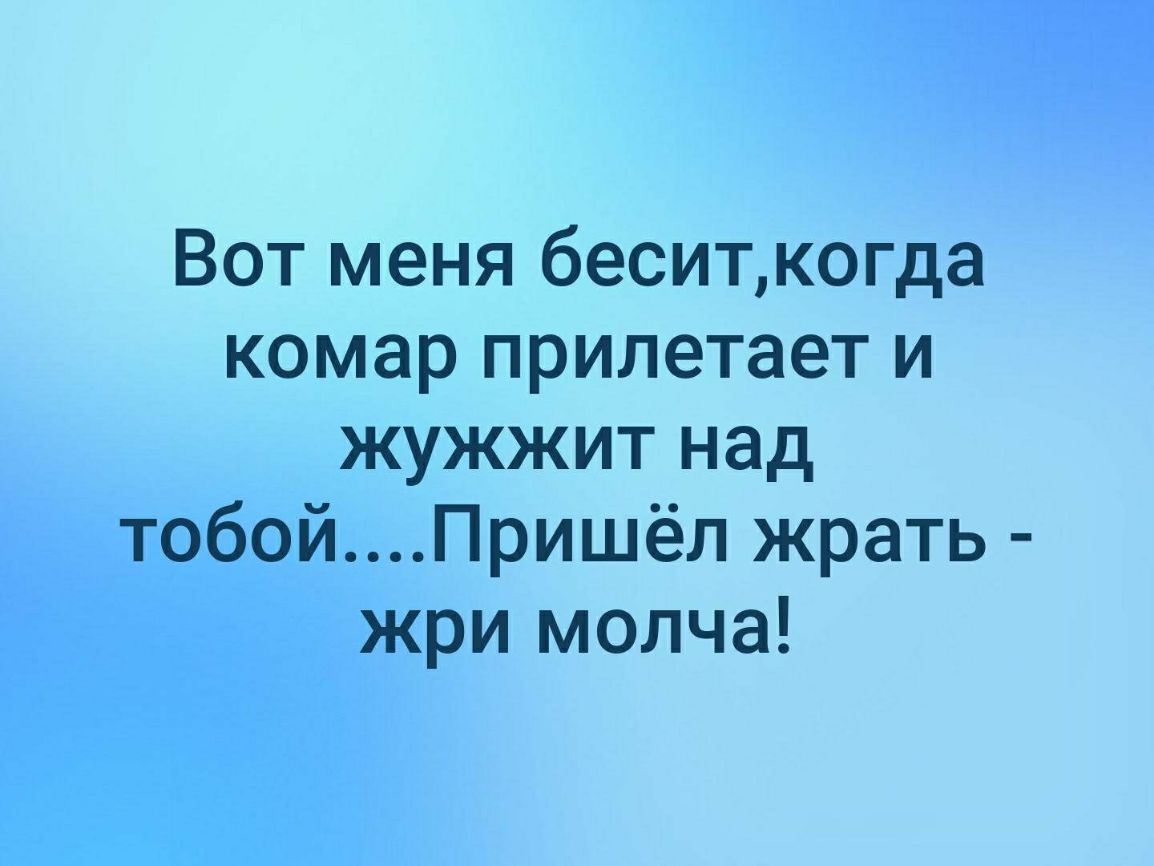 Вот меня беситкогда комар прилетает и жужжит над тобойПришёл жрать жри молча