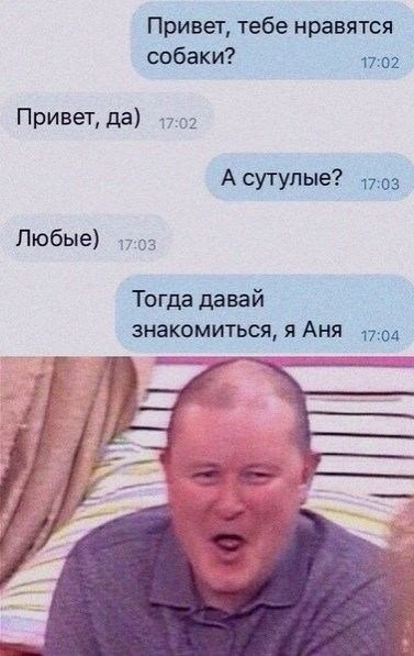 Привет тебе нравятся собаки пки Привепда и Асугупые 1703 Любые 7 03 Тогда давай знакомиться я Аня 17