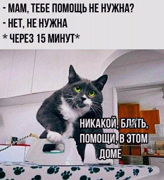 МАМ ТЕБЕ ПОМОЩЬ НЕ НУЖНА НЕТ НЕ НУЖНА ЧЕРЕЗ 15 МИНУТ помощи в эт 1233ь
