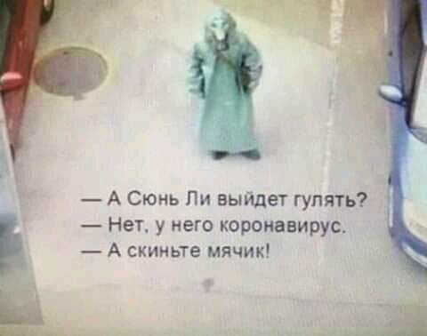 А Сюнь Пи выйдет гулять Нет у него коронавирус А скиньте мячик