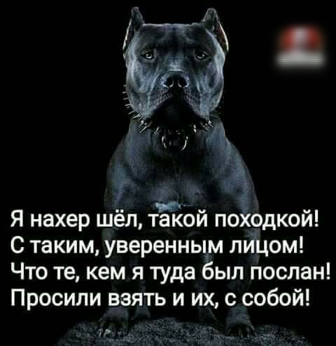 я нахер шёл таТюй поХодкой С таким уверенным лицом Что те кем я туда был послан Просили взять и их с собой