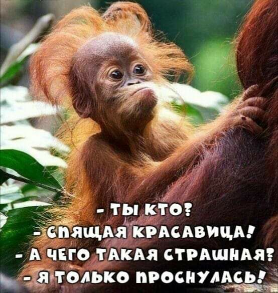 _ пящдянКРАСАВИЦА А чего тАкАя пишим _ Защ ёмко нациями