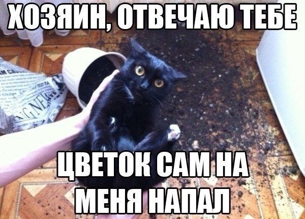 _хдзаин ГтввпТШТЕБЕ