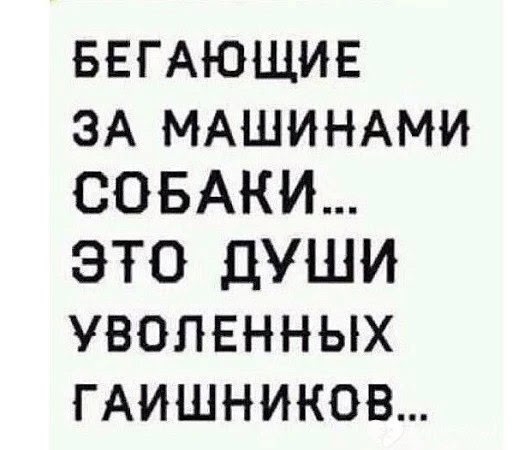 БЕГАЮЩИЕ ЗА МАШИНАМИ СОБАКИ ЭТО ДУШИ УВОЛЕННЫХ ГАИШНИКОВ