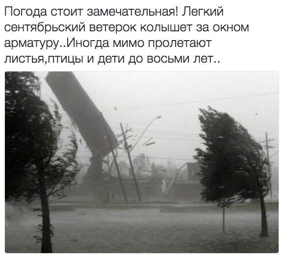 Погода стоит замечательная Легкий сентябрьский ветерок колышет за окном арматуруИногда мимо пролетают листьяптицы и дети до восьми лет