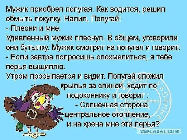 Мужик приобрел попугая Как водится решил обмыть покупку Напил Попугай Ппесни и мне Удивленный мужик плеснул В общем уговорили они бутылку Мужик смотрит на попугая и говорит Еопи завтра попросишь опохмелиться я тебе перья выщиплю Утром просыпается и видит Попугай сложил крылья за спиной ходит по подоконнику и говорит Солнечная сторона центральное отопление и на хрена мне эти перья тамдмщкшшпш