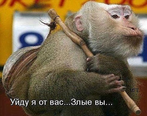 Уйдуя от васЗпые вы