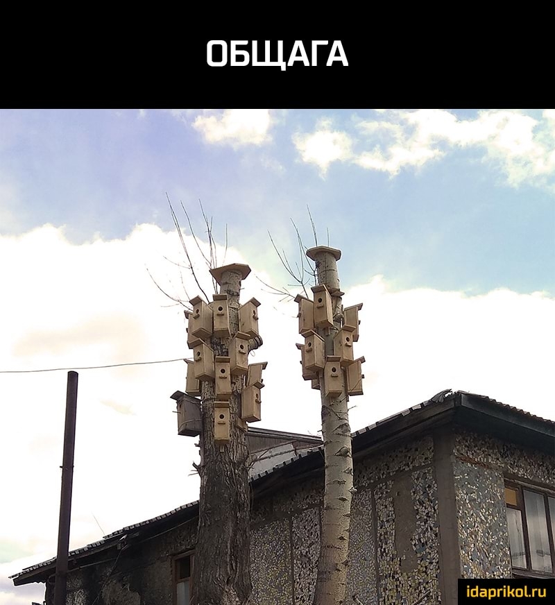 ОБЩАГА іпаргіішыи
