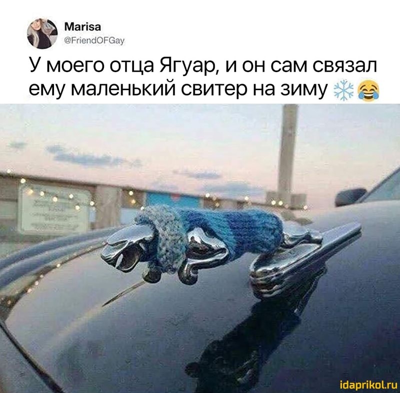 Магіза Рпещіогбау У моего отца Ягуар и он сам связал ему маленький свитер на зиму ібаргіКпітц