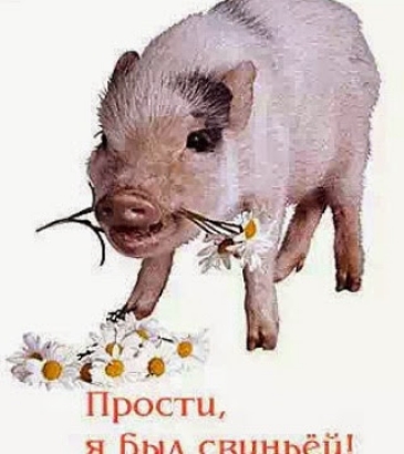 Бнд гппньёй