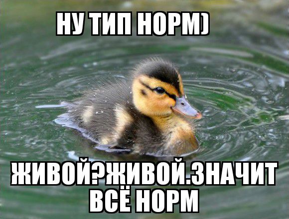 ну тигі нат Кёге ШИВВИЕЁЩИВВИ ЗНАЧИТ ВВЁ ИШМ