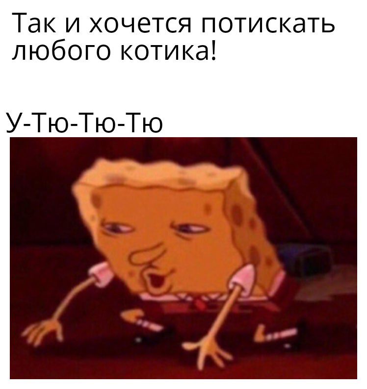 Таки1хочетсяпчотискать любого котика УЛюЛюЛю