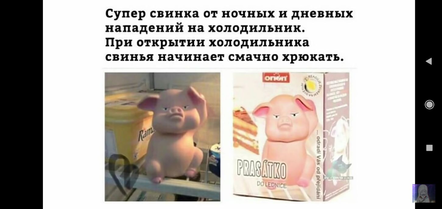 Супер свинка от ночных и дневных нападений на холодильник При открытии холодильника свинья начинает смачно хрюкатъ