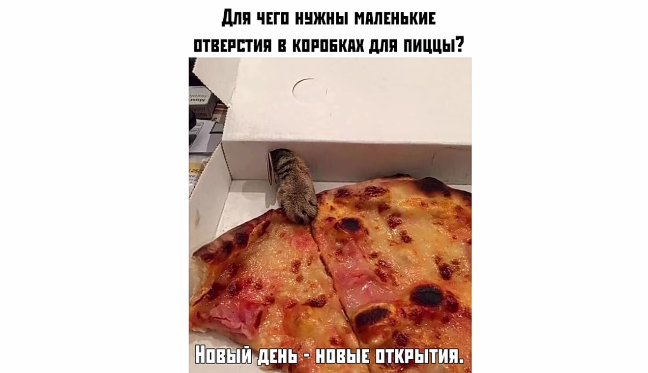 ШШ ЧЕГП ннжны ИМЕНЬКИЕ ПТВЕРПИП В КИЕВЕ дЛЯ ШШШ Г