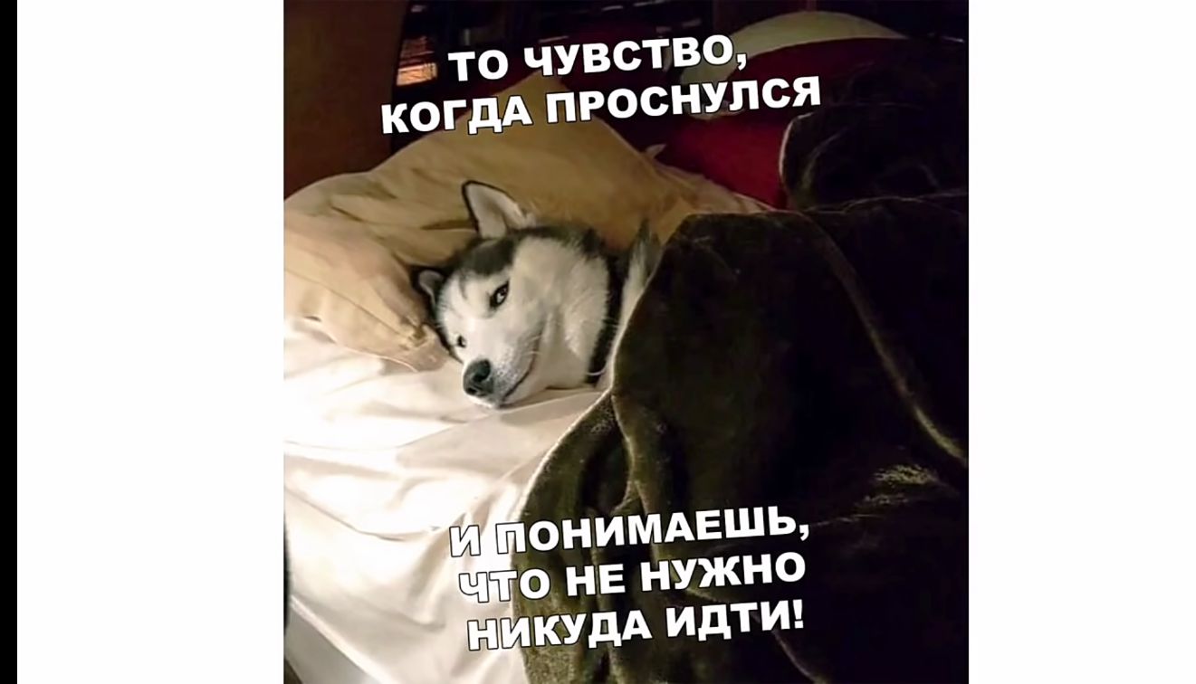 то чувство когдА проснулся