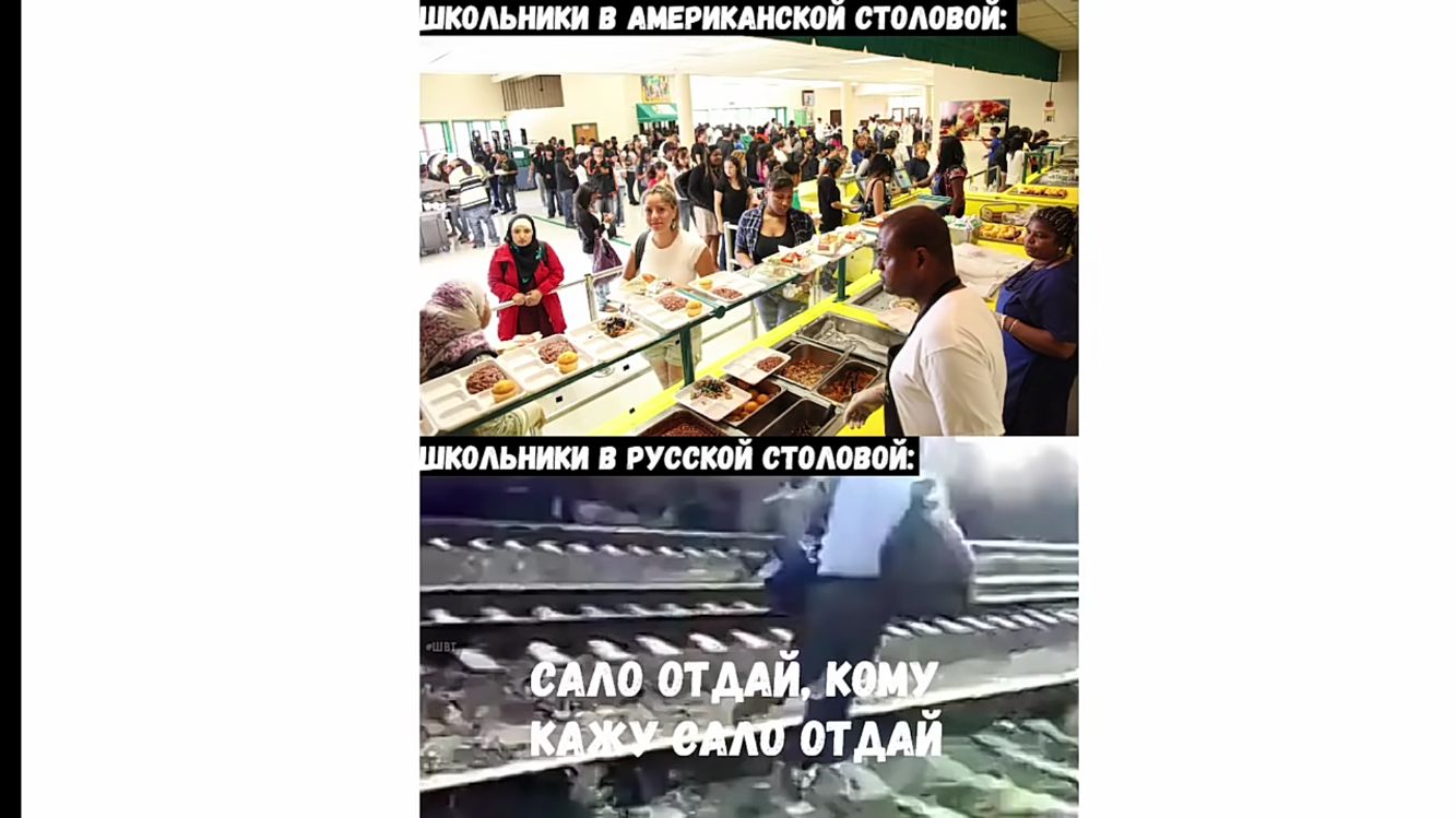 КОАЬНИКИ В АМЕРИКАНСКОИ ОТОАОВОИ