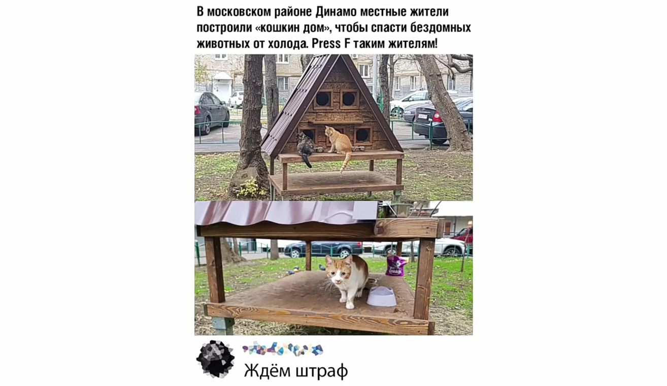 В московском районе динамо местные жители построили кошкин дом чтобы спасти бездомных м1 с Ждём штраф