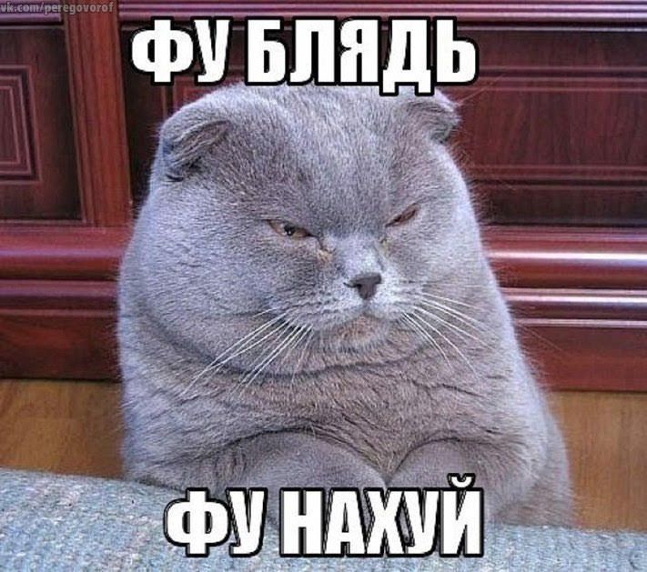 дл