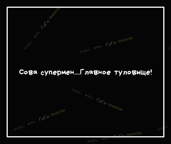 Сова суперМеНГлВМое туловища