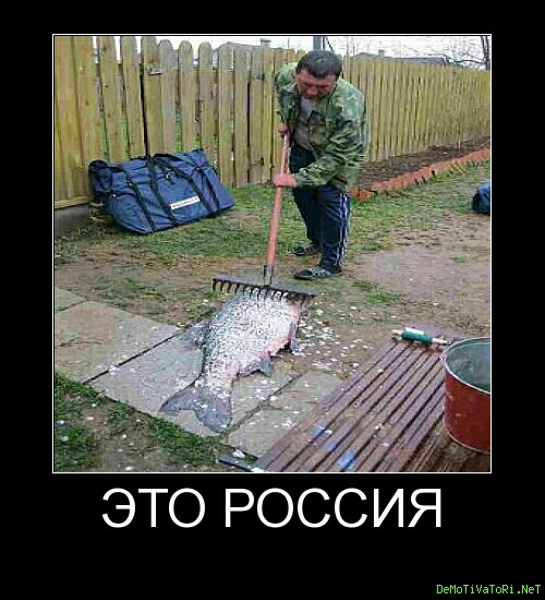 это РОССИЯ